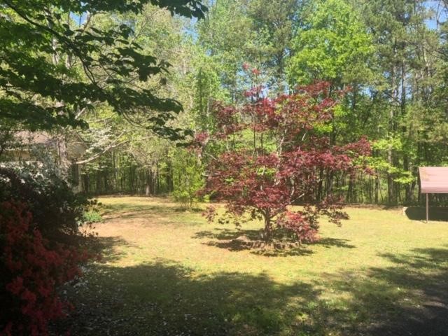 248 Webb Road Seneca, SC 29678 - Photo 32 of 37 Gallery Image 32