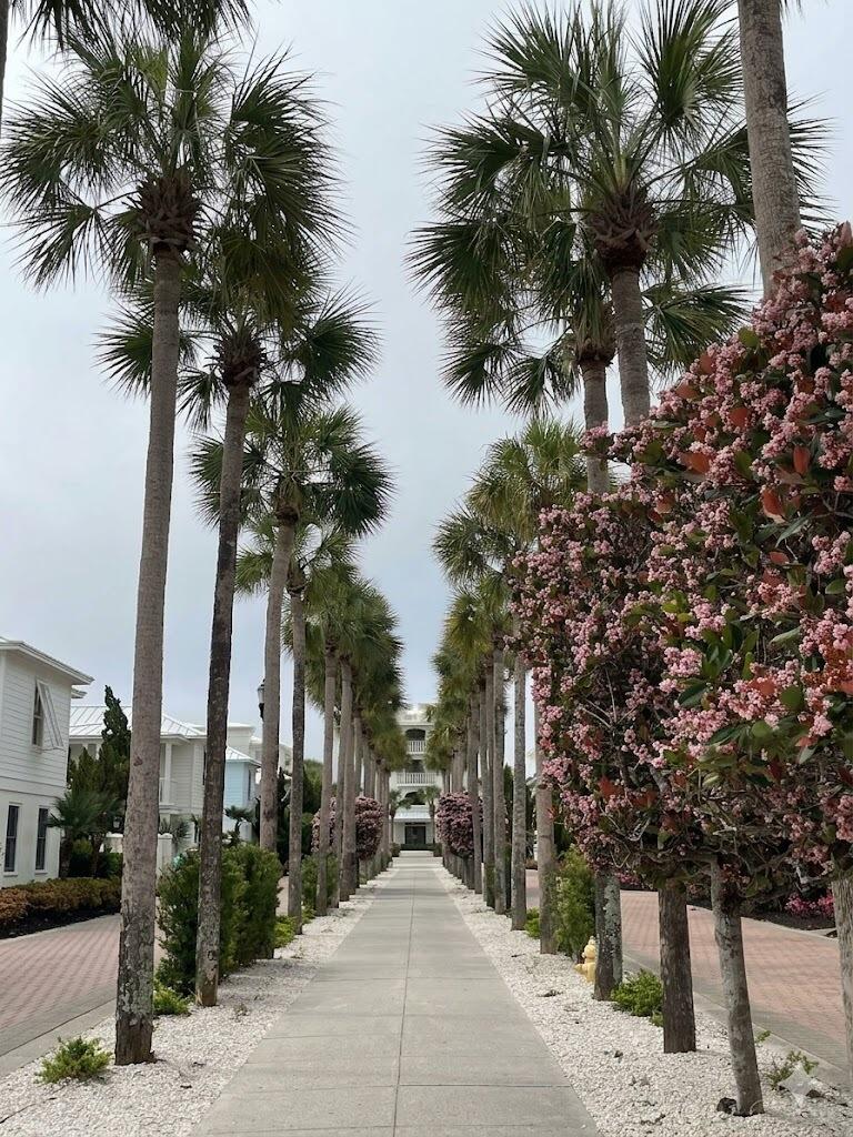 9961 East County Highway 30A, Unit 201 Inlet Beach, FL 32461 - Photo 33 of 35 a view of a park with a tree