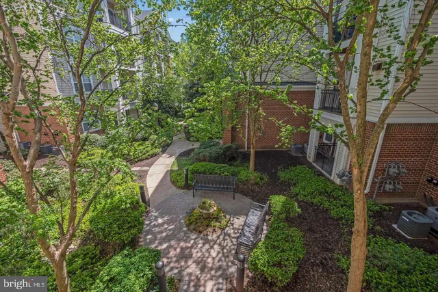 a view of a back yard