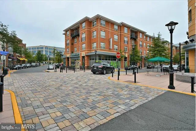 a row of palm trees sitting on the side of a street