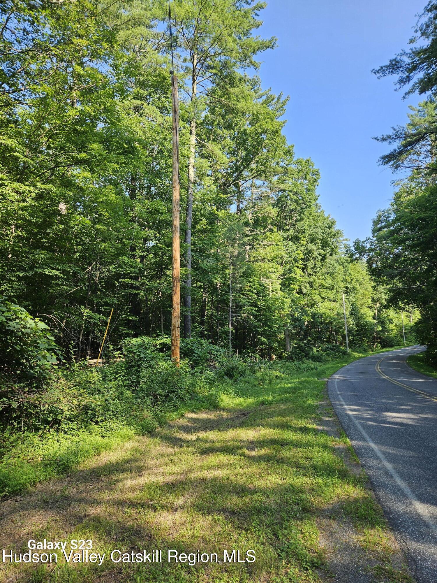 0 Hearts Content Road Catskill, NY 12414 - Photo 15 of 21 20260711_165015