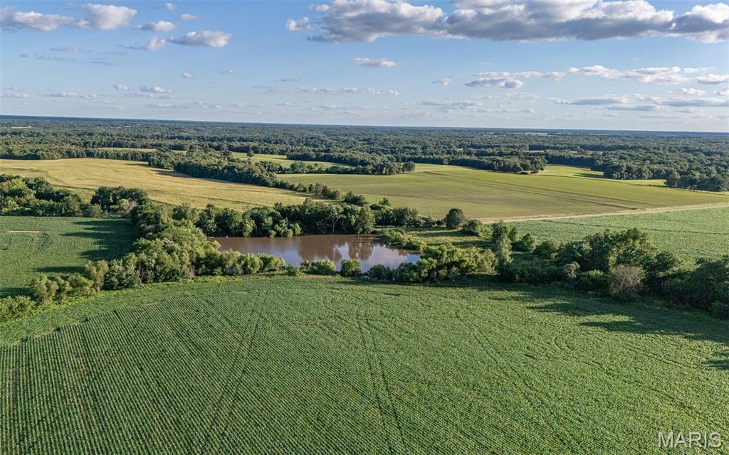 0 Gentry Road Monroe City, MO 63456 - Photo 19 of 19