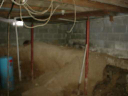 17207 Brick Road South Bend, IN 46637 - Photo 7 of 7 Gallery Image 7
