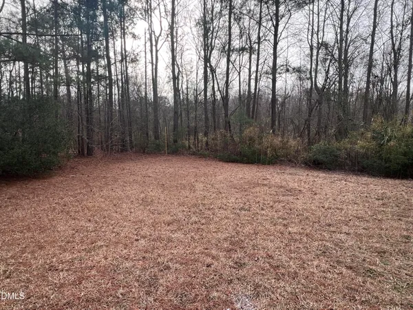 a view of backyard with green space