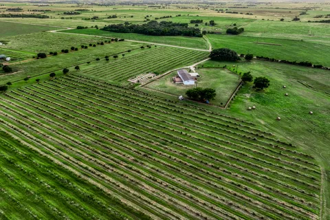 $1,150,000 | 3575 County Road 271, Moulton, TX 77975