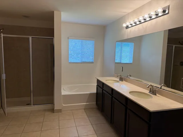 a bathroom with a double vanity sink a large mirror and a bathtub