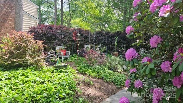 10841 Flat Iron Road Charlotte, NC 28226 - Photo 42 of 45