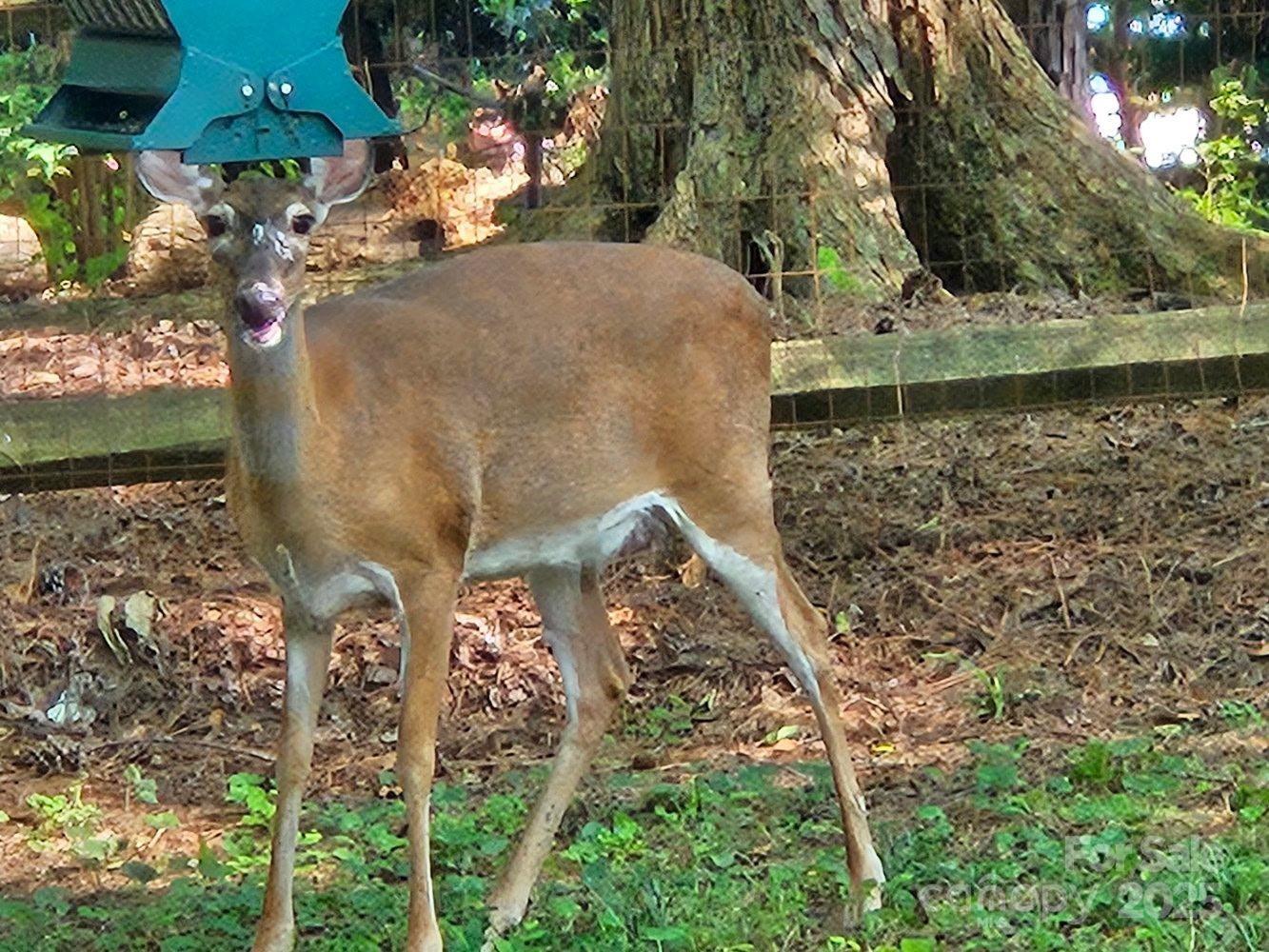 10841 Flat Iron Road Charlotte, NC 28226 - Photo 45 of 45