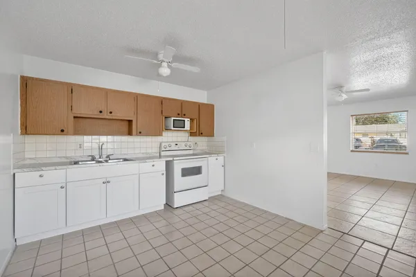 a close view of a sink and dishwasher in a kitchen