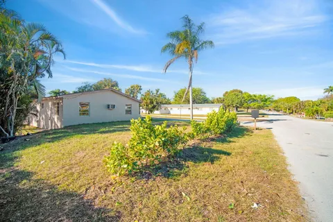 a view of a backyard with large trees