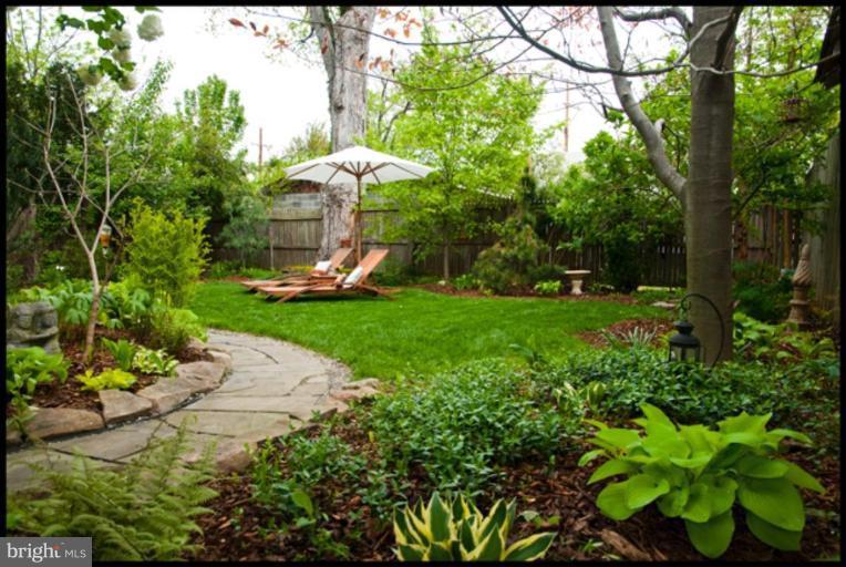 9411 Garwood Street Silver Spring, MD 20901 - Photo 19 of 30 Back yard