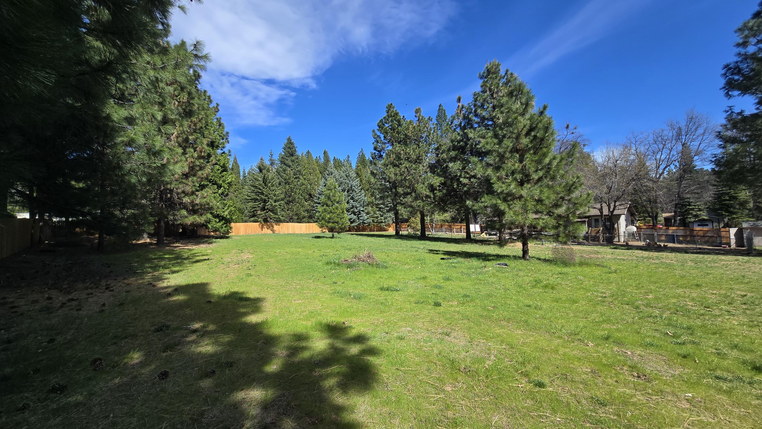 2917 Cantara Loop Road Mount Shasta, CA 96067 - Photo 11 of 29 20260323_140836