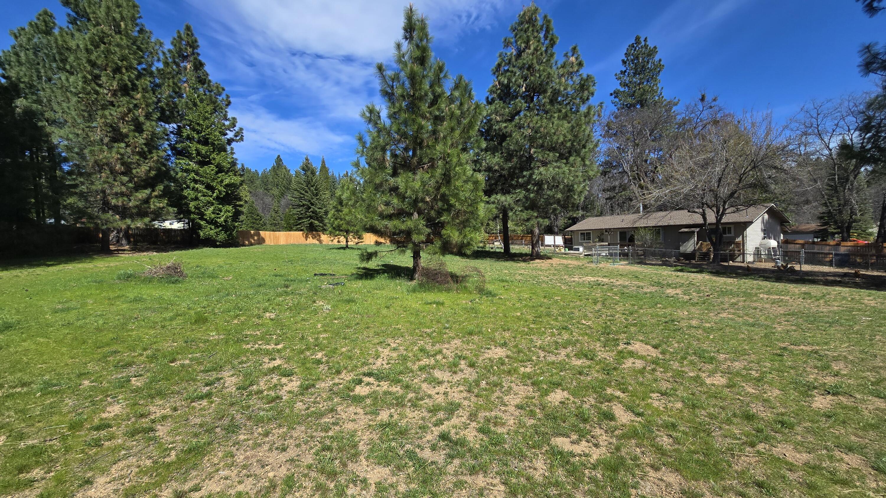 2917 Cantara Loop Road Mount Shasta, CA 96067 - Photo 12 of 29 20260323_140747