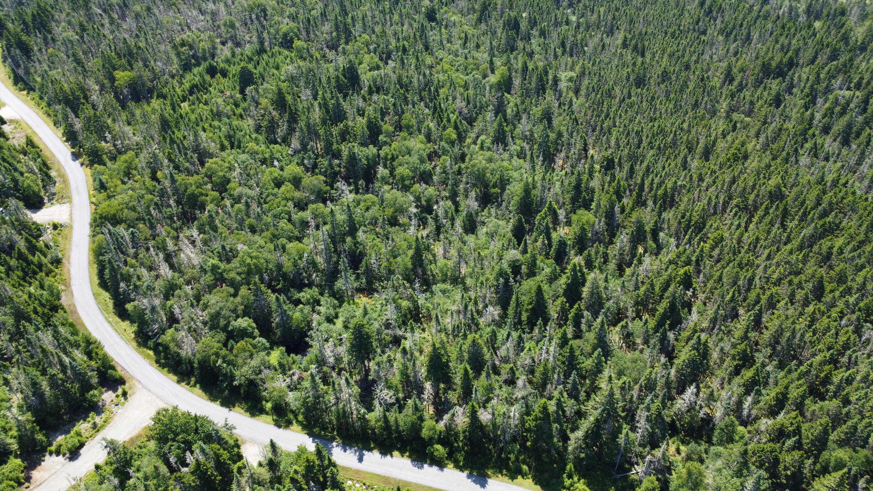 29 Yoho Head Road Machiasport, ME 04655 - Photo 5 of 12 DJI_0720