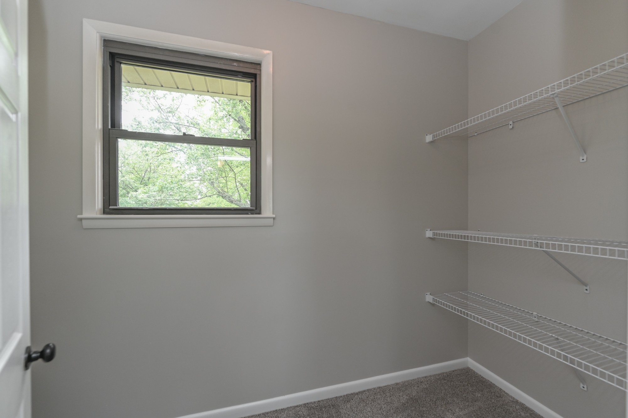 4334 Mt Zion Road Springfield, TN 37172 - Photo 22 of 52 a view of an empty walk in closet