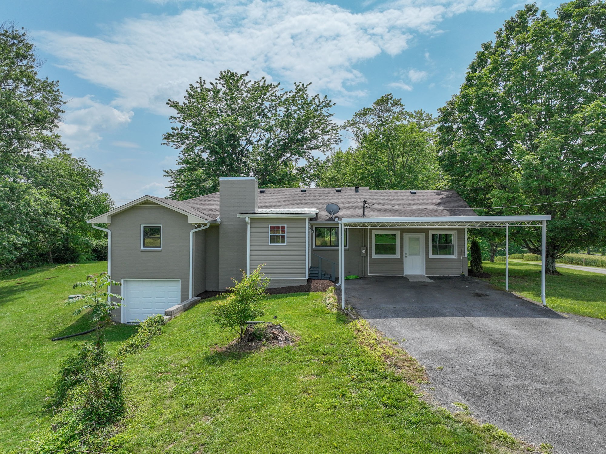 4334 Mt Zion Road Springfield, TN 37172 - Photo 45 of 52 a view of a house with a yard and large tree