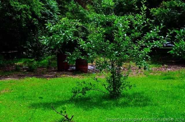 2799 South Duffie Road Red Springs, NC 28377 - Photo 29 of 29 Gallery Image 29