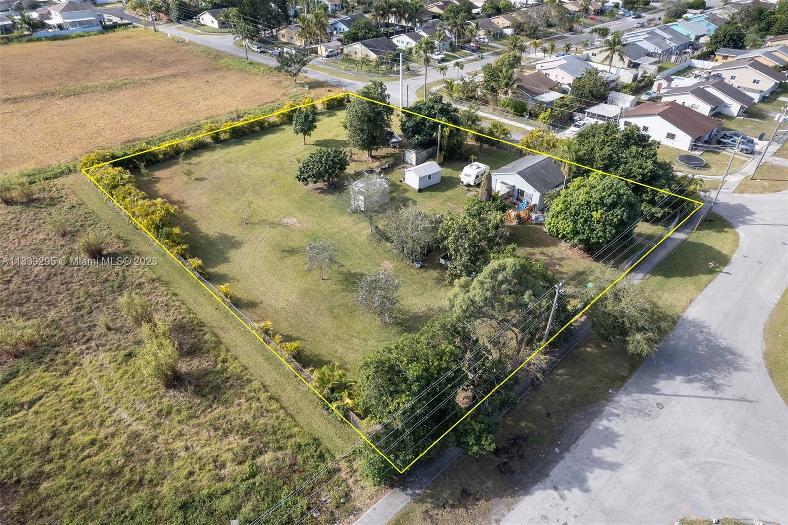 15860 Southwest 304th Street Homestead, FL 33033 - Photo 6 of 7 a view of a yard with plants