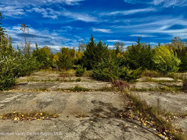 a view of a lake with a mountain