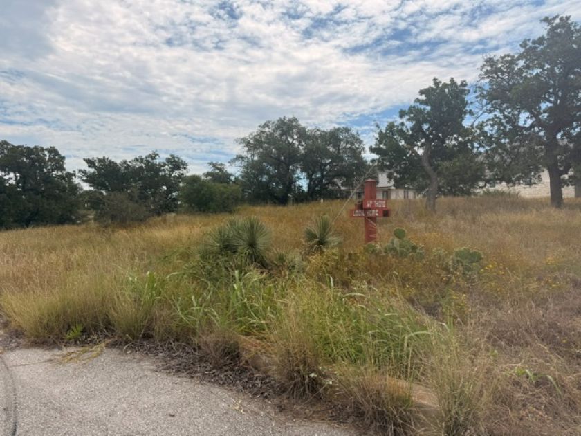 Mature trees frame this expansive plot of land, ideal for building a custom home.