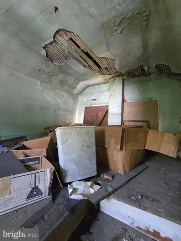 a view of a backyard with plants and swing