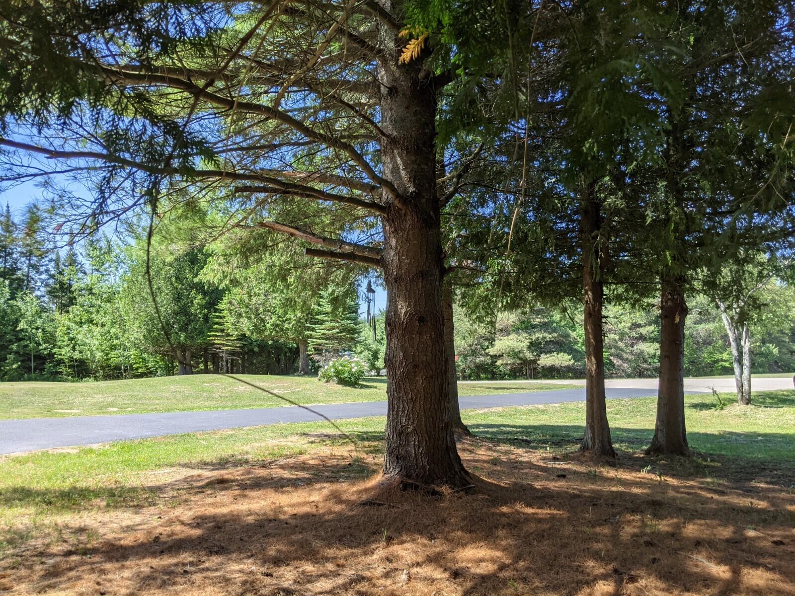N4215 Gorman Road St. Ignace, MI 49781 - Photo 5 of 50 Gallery Image 5