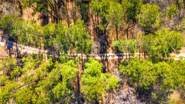 $999,900 | 5535 Fm 350 Street North, Livingston, TX 77351