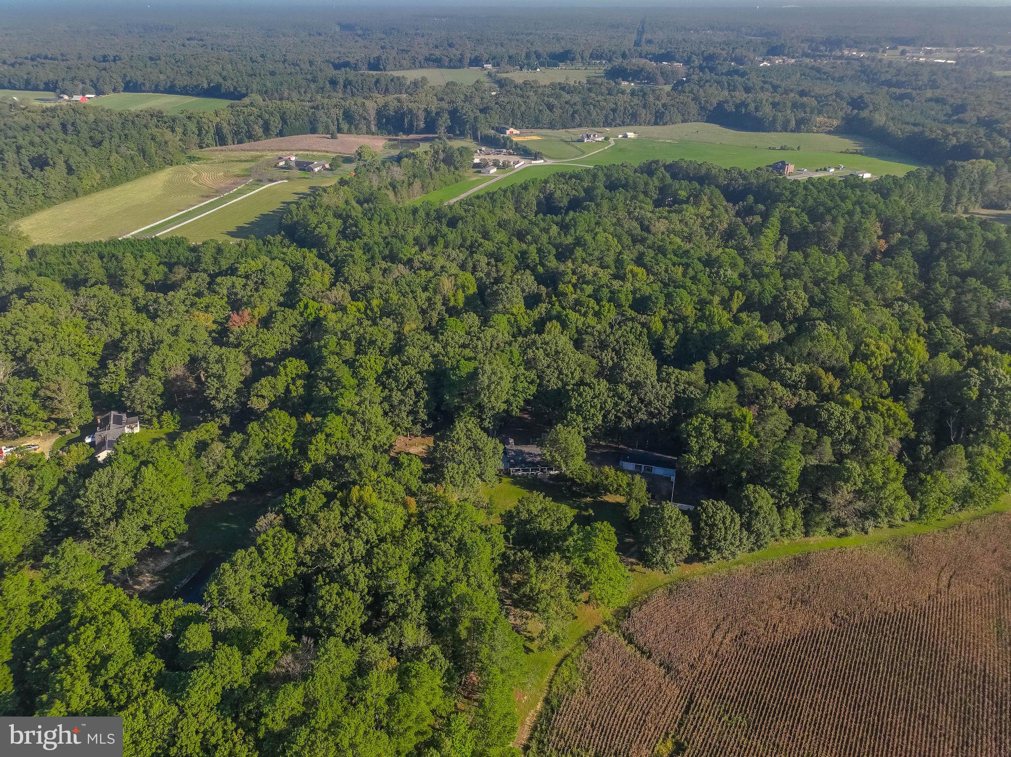 44661 Deerfield Road Leonardtown, MD 20650 - Photo 4 of 54 Gallery Image 4