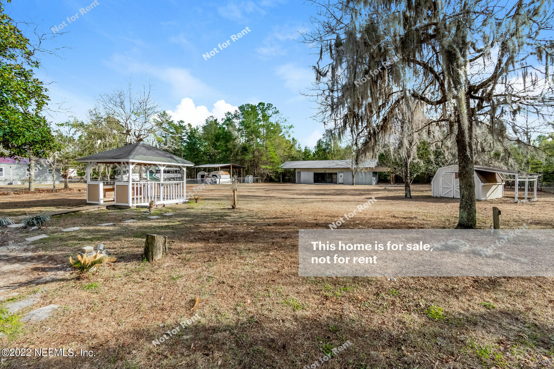 4205 Mustang Road Middleburg, FL 32068 - Photo 26 of 27 a view of a yard with trees