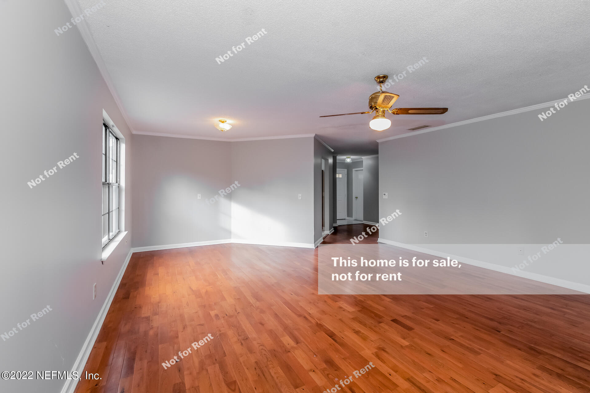 4205 Mustang Road Middleburg, FL 32068 - Photo 9 of 27 a view of an entryway