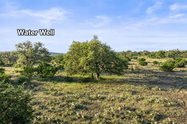 a view of a field with plants and trees in the background