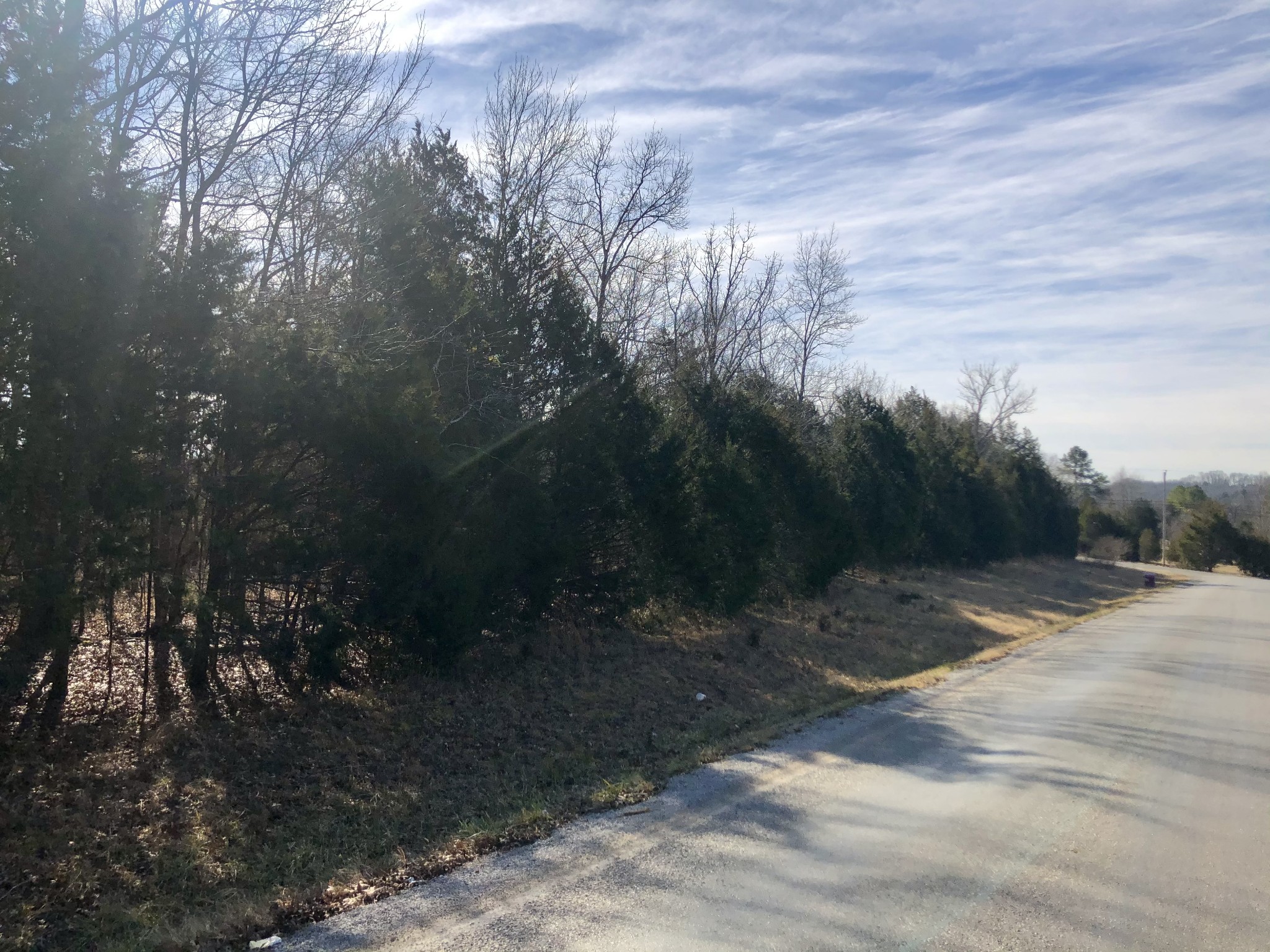 0 Joe Reeves Road Columbia, TN 38401 - Photo 4 of 7 Gallery Image 4