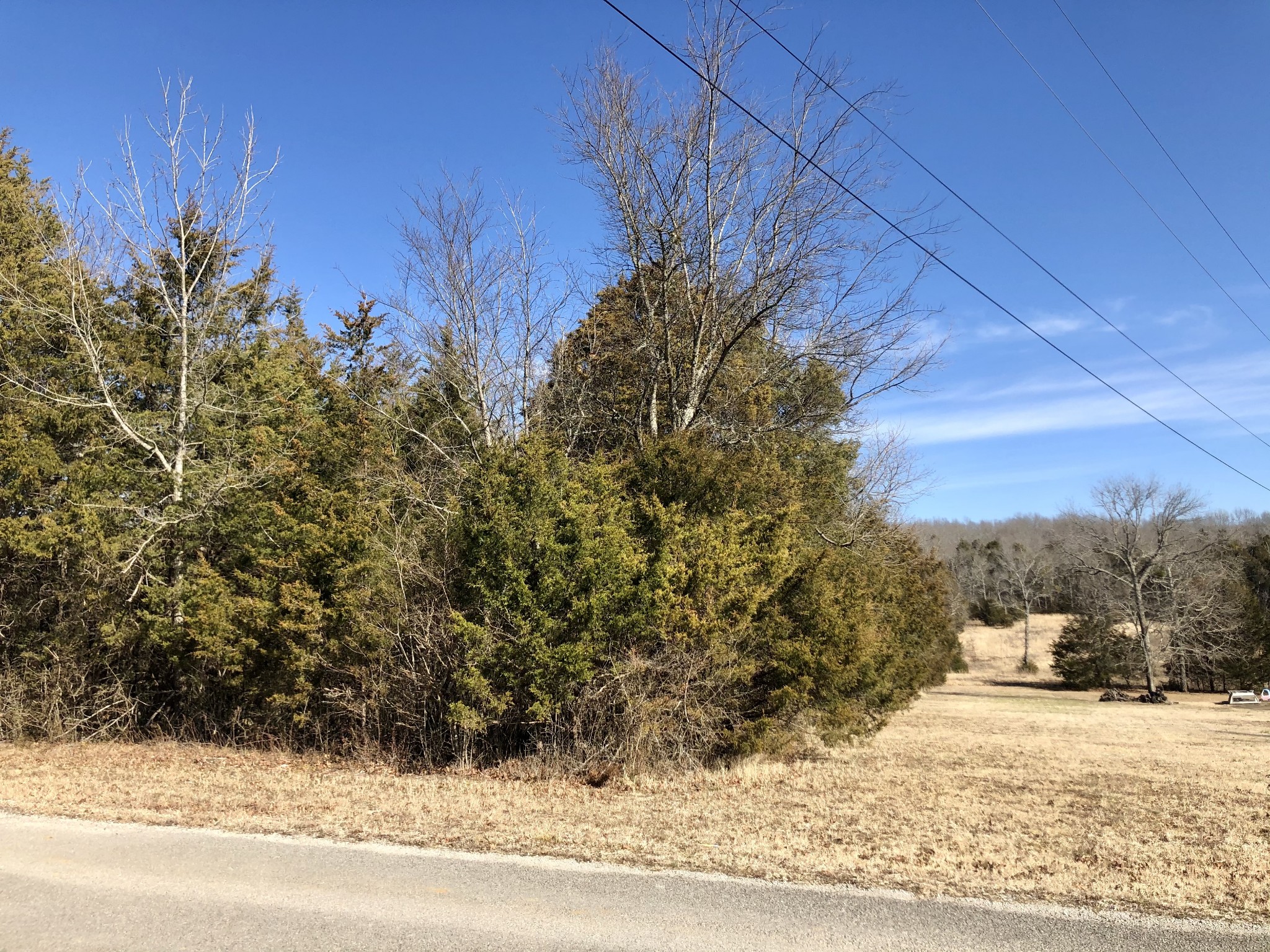 0 Joe Reeves Road Columbia, TN 38401 - Photo 6 of 7 Gallery Image 6