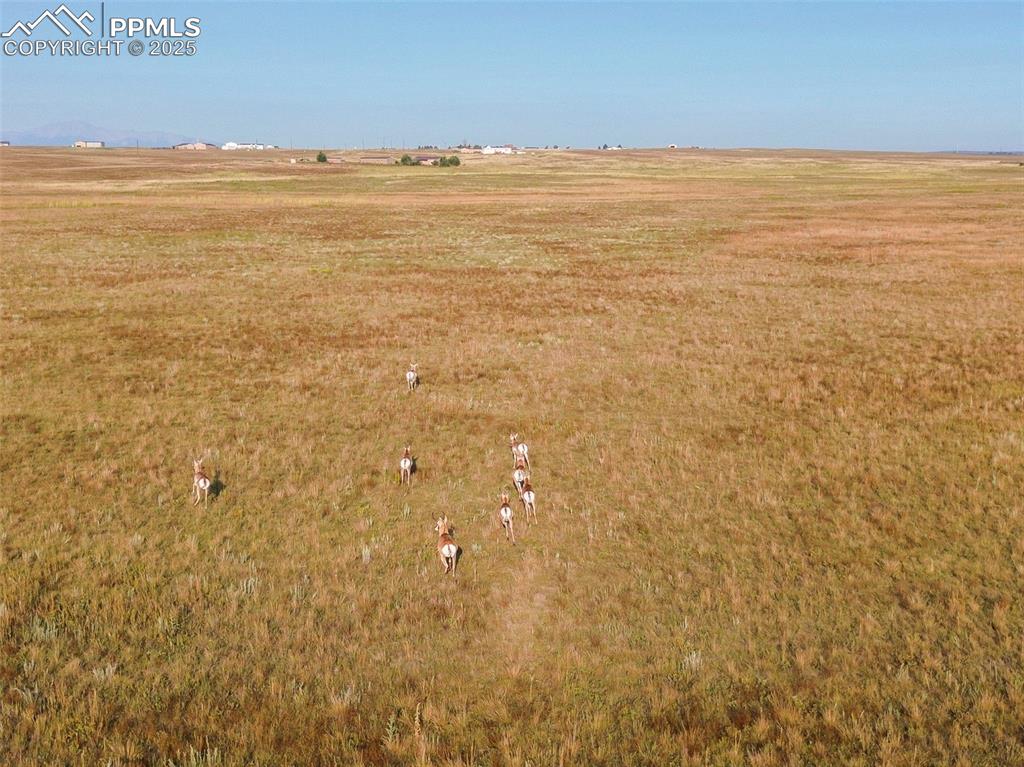 11950 Log Road Peyton, CO 80831 - Photo 11 of 17 a view of an ocean
