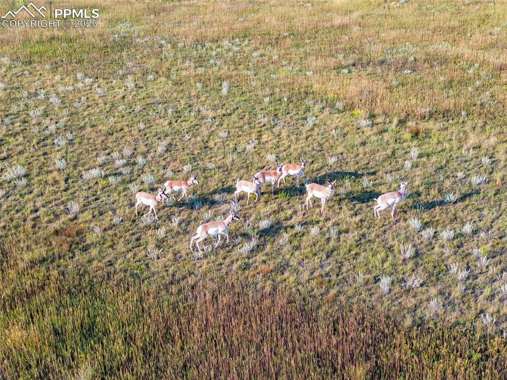 11950 Log Road Peyton, CO 80831 - Photo 6 of 17