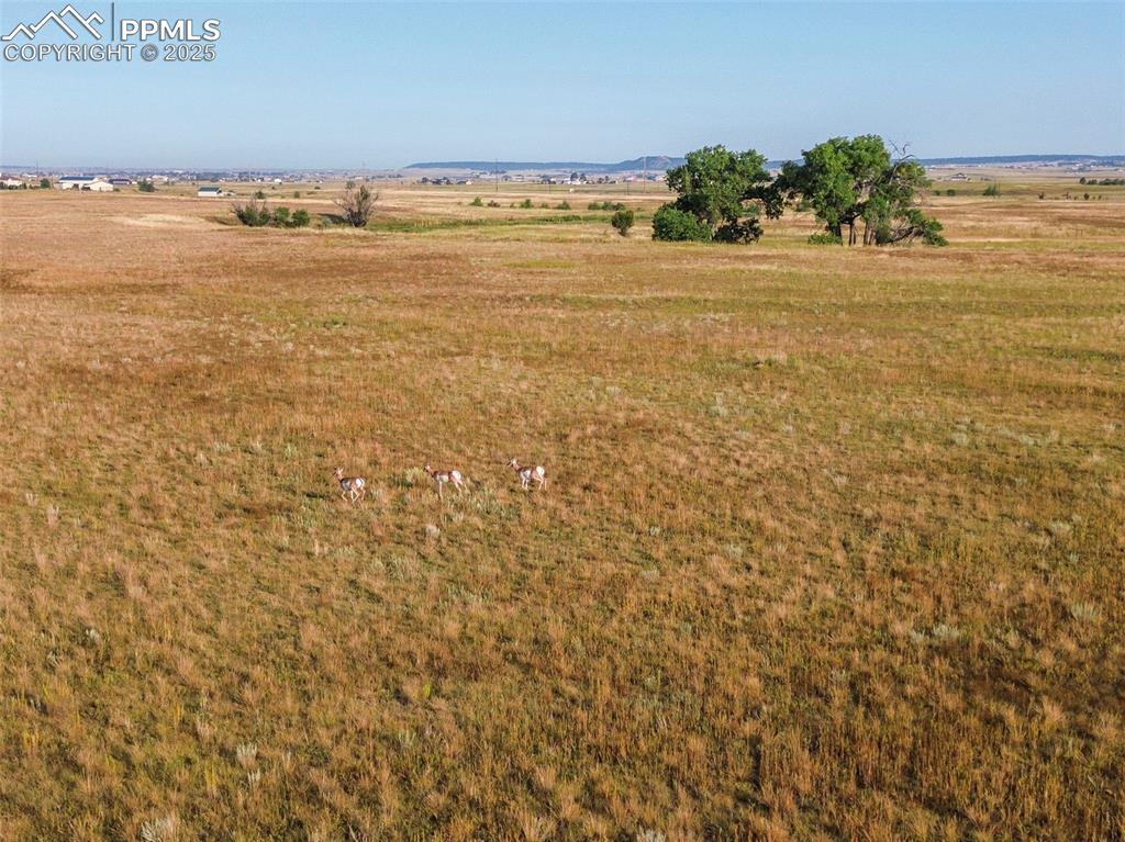 11950 Log Road Peyton, CO 80831 - Photo 8 of 17 a view of an ocean and beach