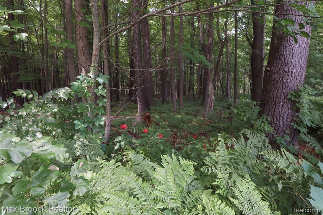 1633 East Hunters Creek Road Lapeer, MI 48446 - Photo 56 of 70 0EB64E4F-276E-49B5-AD01-718F5E0C645B.jpeg