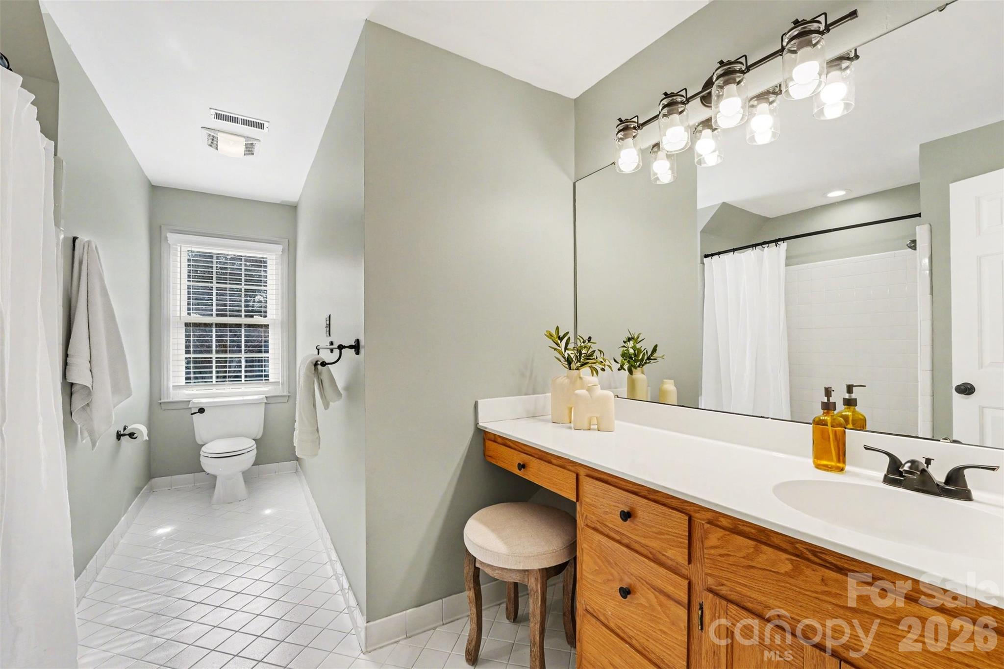 5606 Hillingdon Road Charlotte, NC 28226 - Photo 24 of 41 a bathroom with a sink a toilet and a mirror