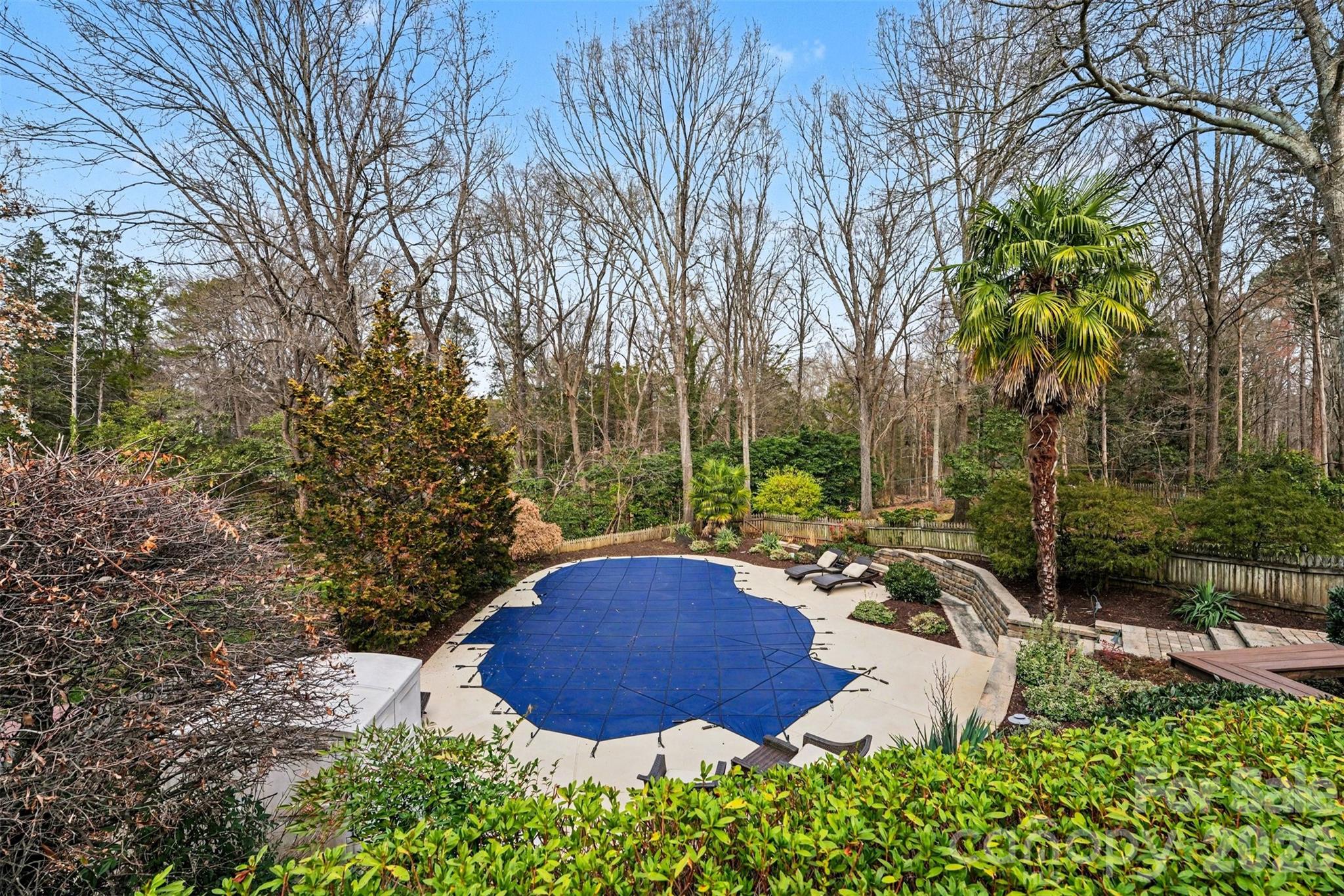 5606 Hillingdon Road Charlotte, NC 28226 - Photo 35 of 41 a view of a chair and fire pit in middle of the garden