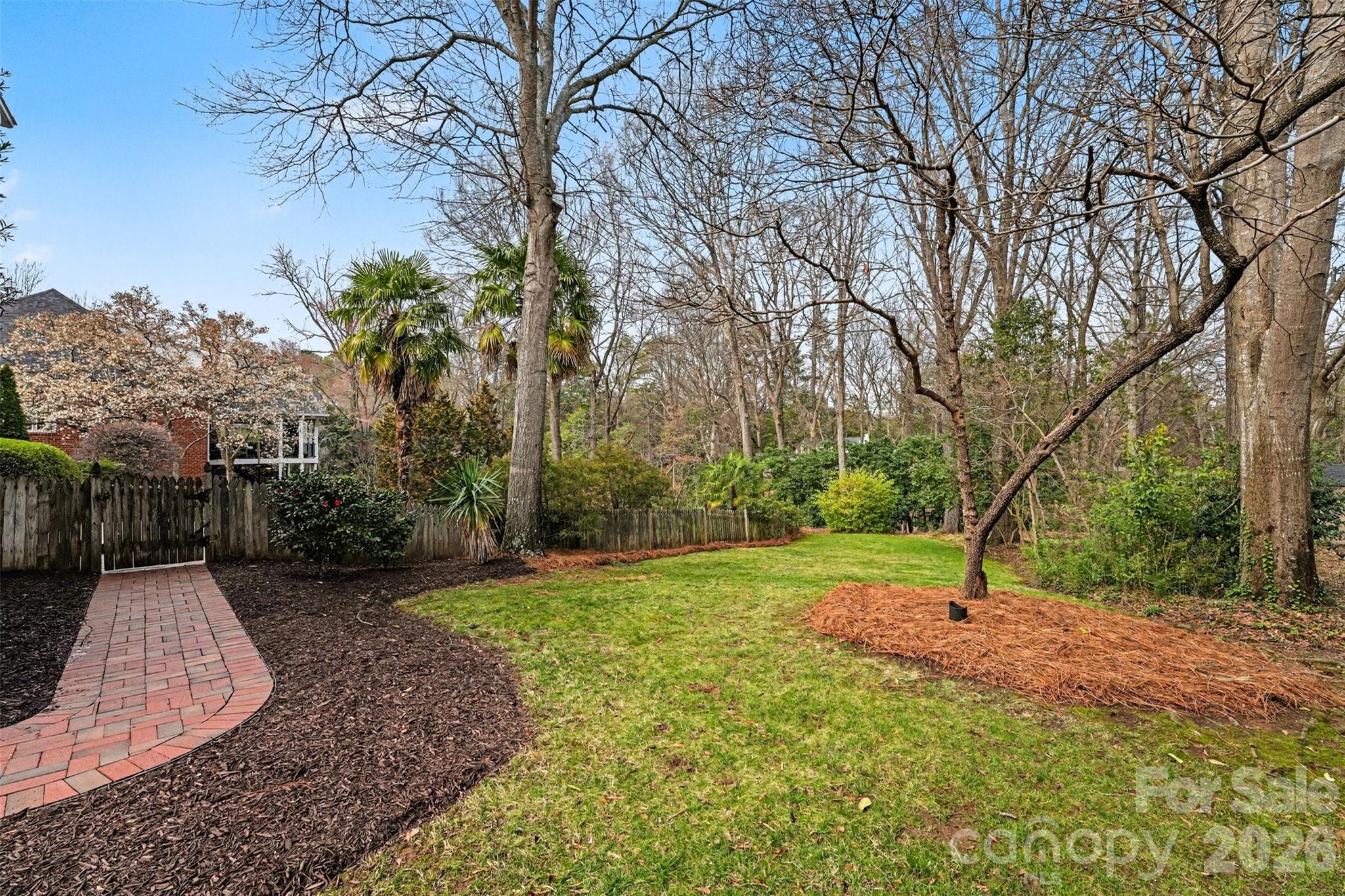 5606 Hillingdon Road Charlotte, NC 28226 - Photo 36 of 41 a view of a backyard with large trees
