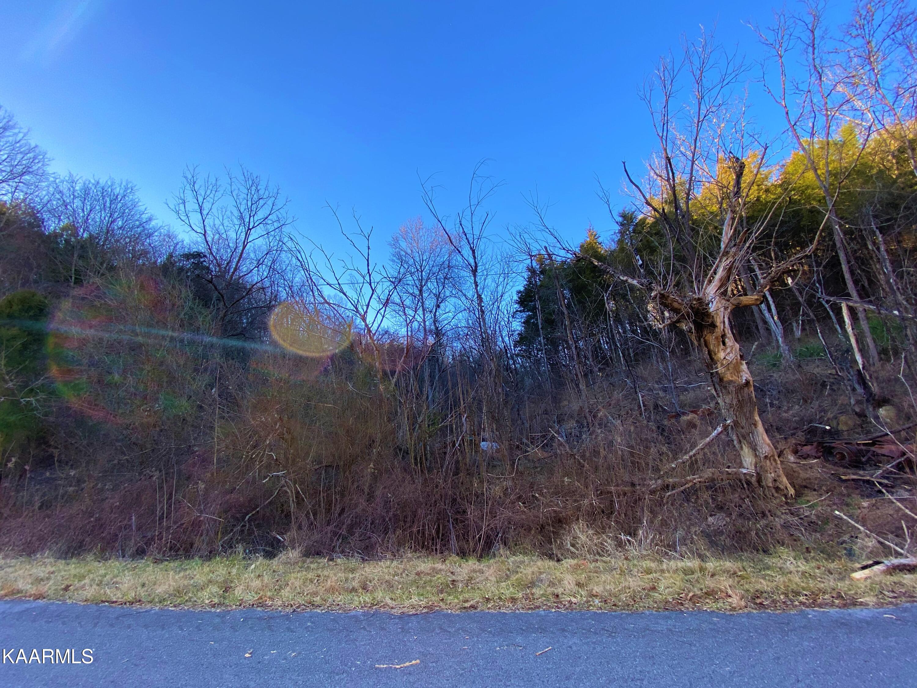 Jackson Hollow Road Mosheim, TN 37818 - Photo 3 of 17 image_50382081