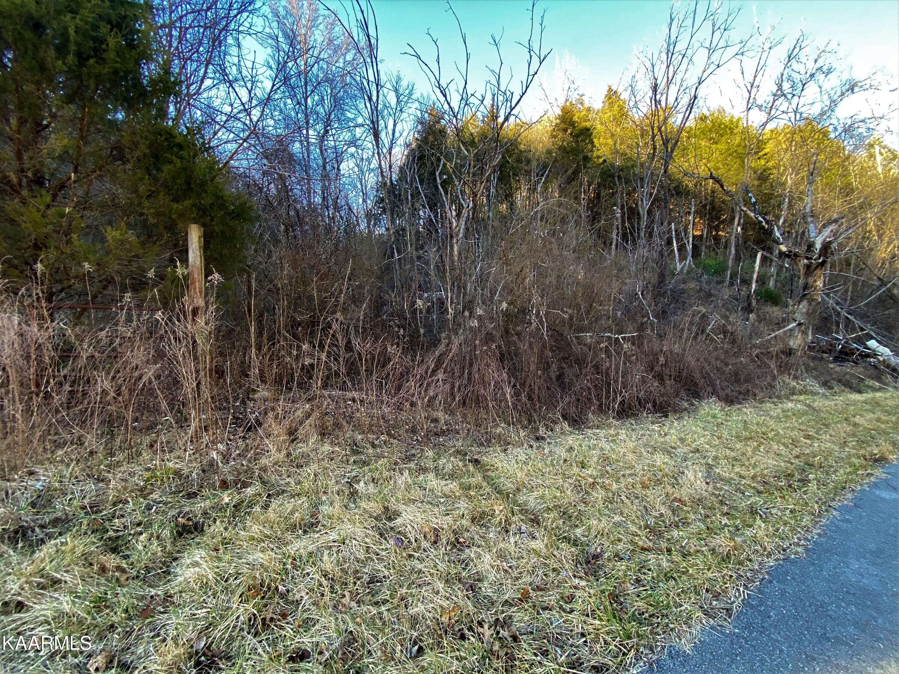 Jackson Hollow Road Mosheim, TN 37818 - Photo 8 of 17 image_50456833