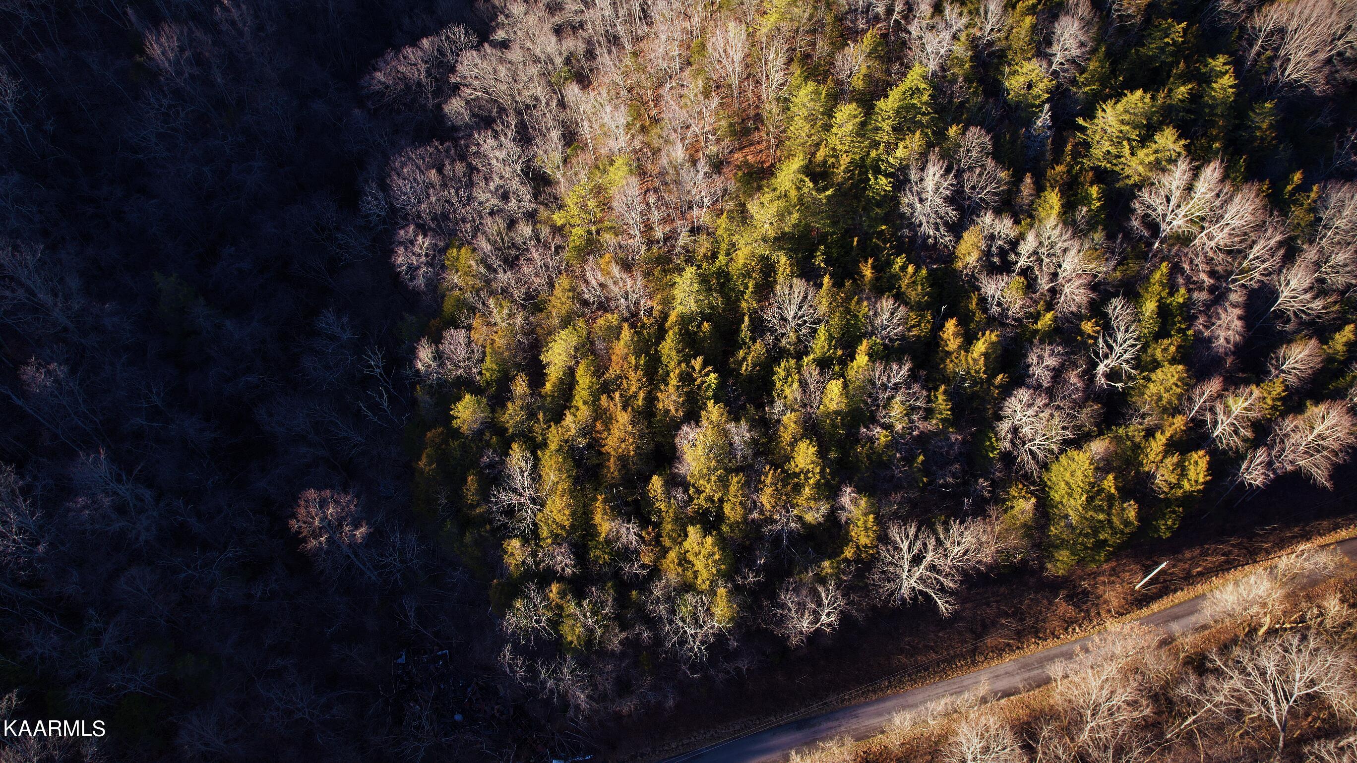 Jackson Hollow Road Mosheim, TN 37818 - Photo 10 of 17 drone