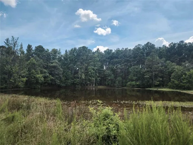 $465,000 | 7155 Carruth Road, Wilson, LA 70789