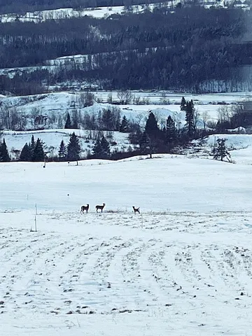 $549,900 | 32 Smith Farm Lane, Barton, VT 05822