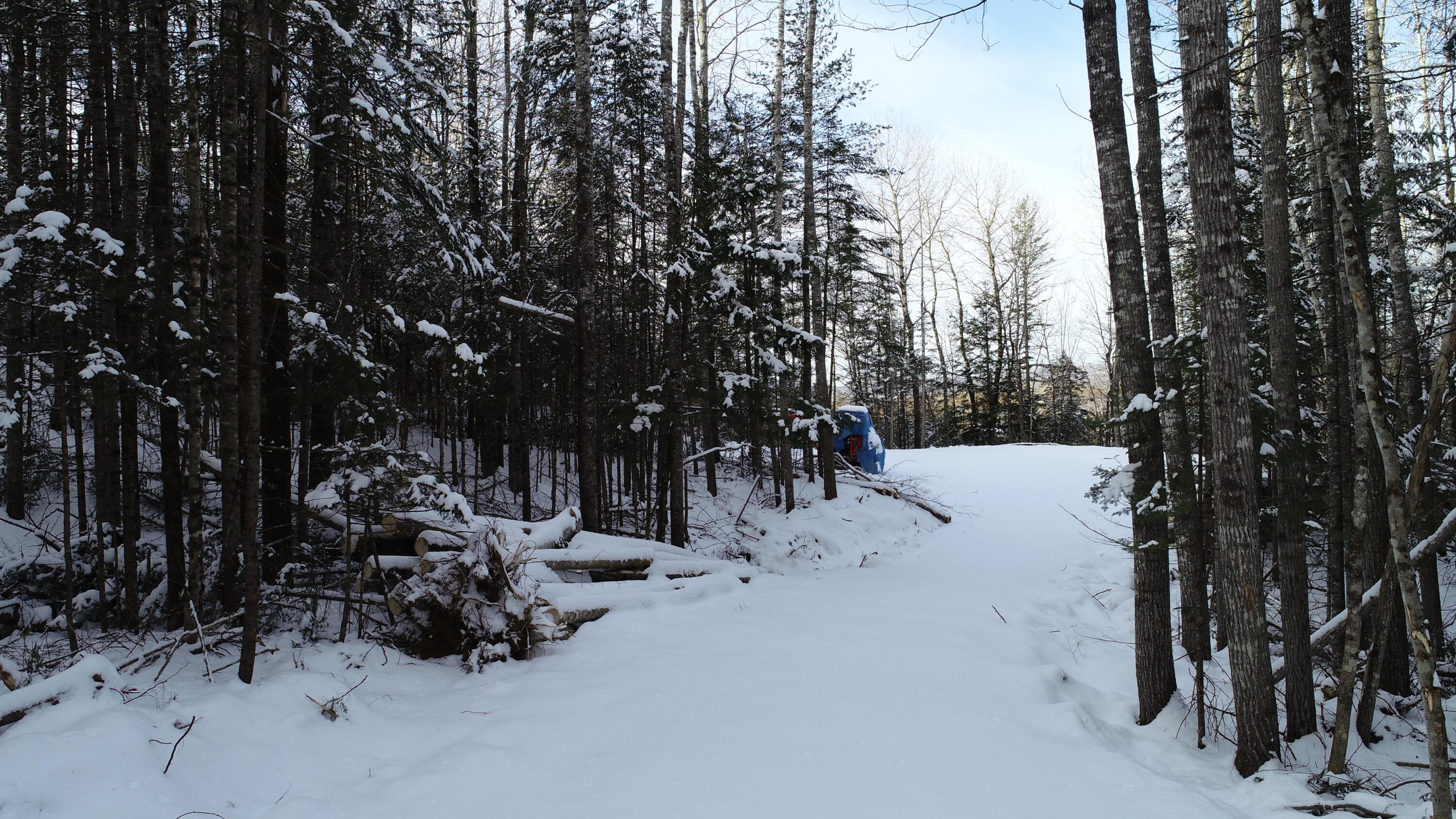 Tbd Lohnes Road Andover, ME 04216 - Photo 13 of 19 DJI_0068