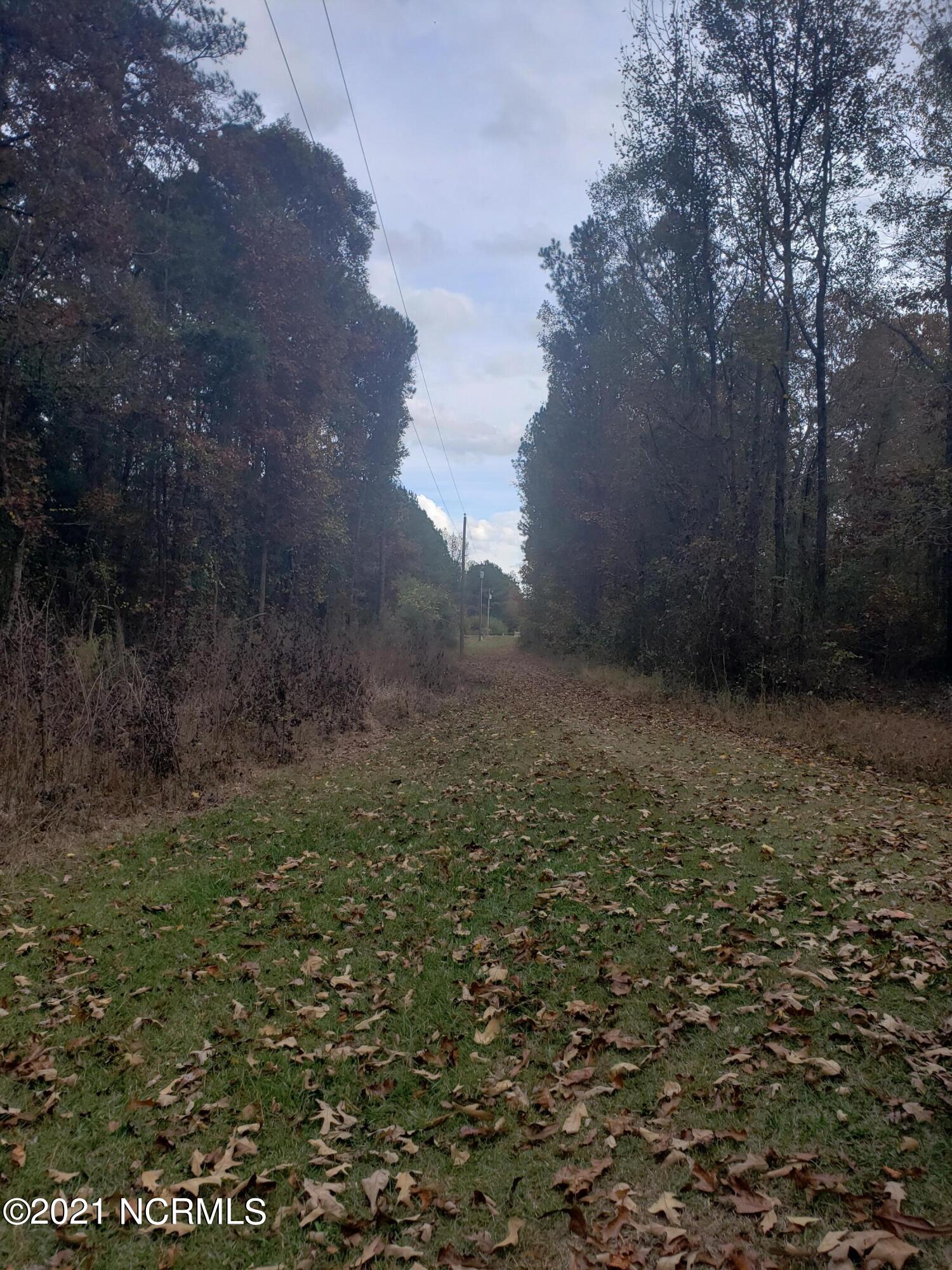 650 Butler Island Road Roseboro, NC 28382 - Photo 11 of 11 20211118_133221