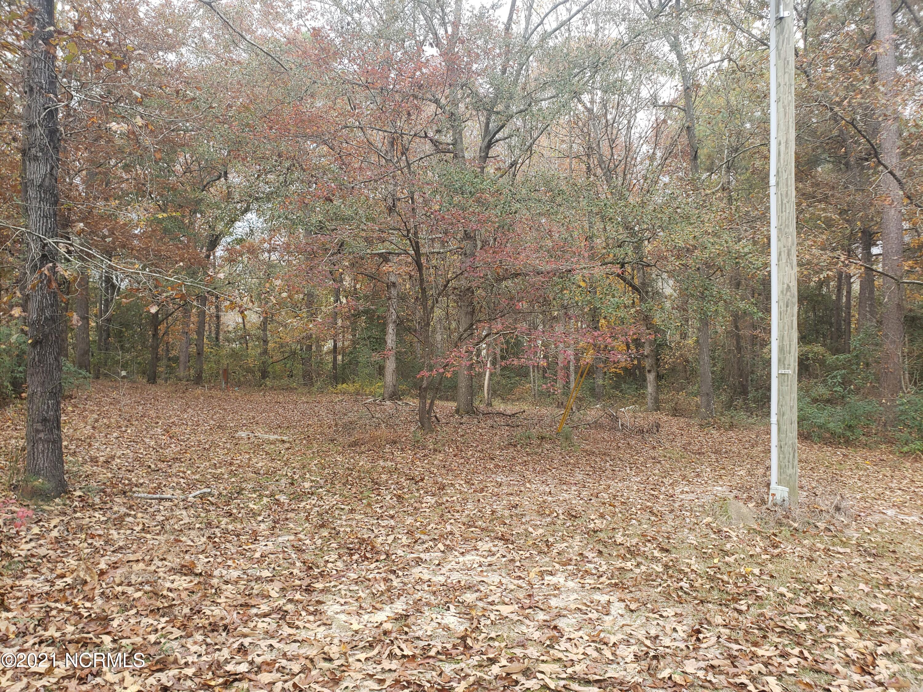 650 Butler Island Road Roseboro, NC 28382 - Photo 10 of 11 20211118_133141