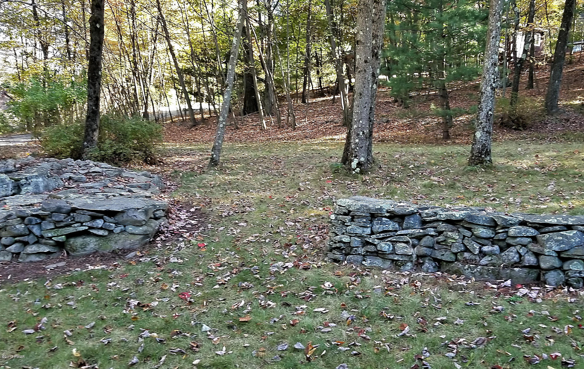 110 Koch Road Tafton, PA 18464 - Photo 34 of 41 37 Back Yard