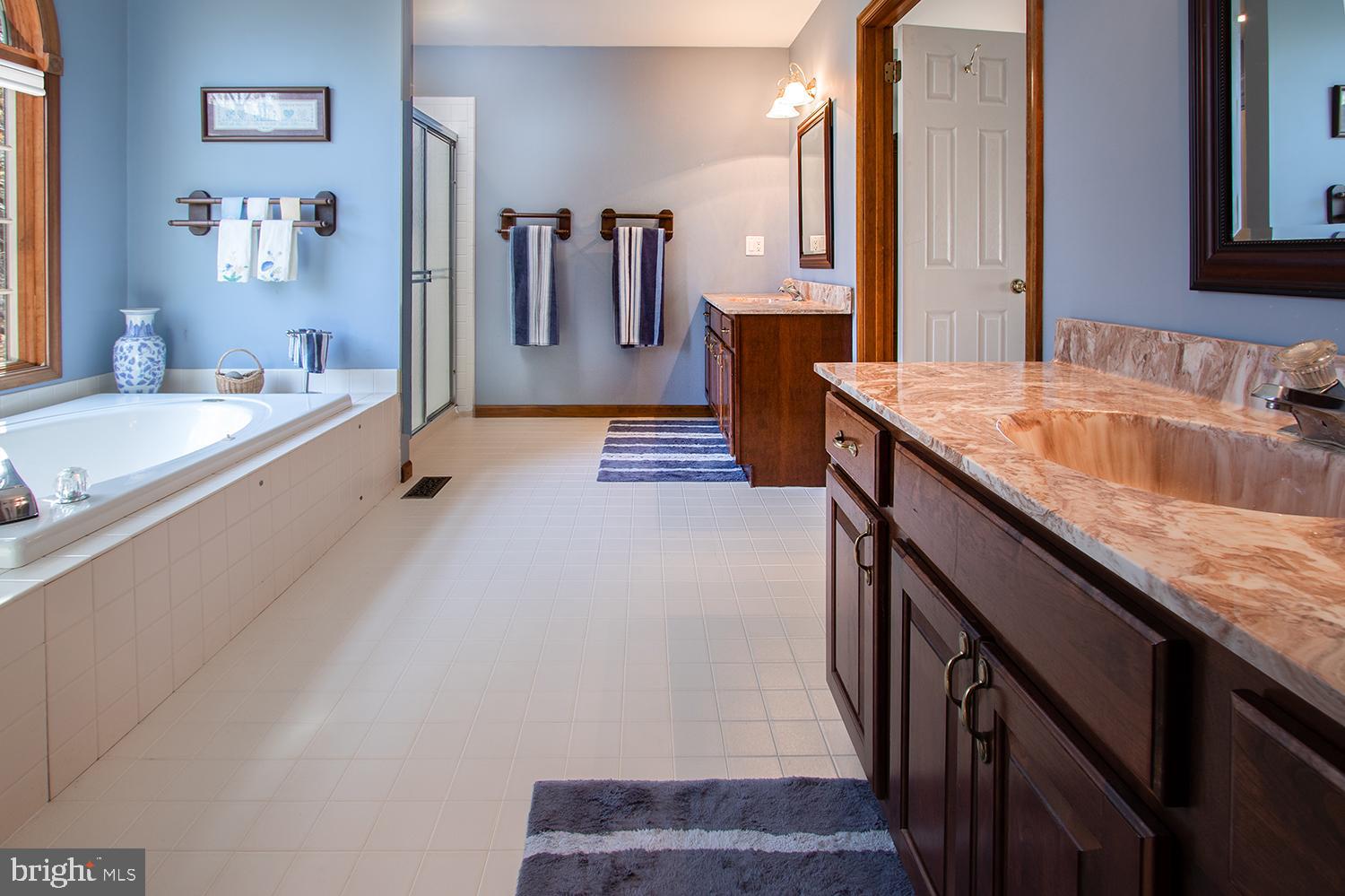 6 Arncliffe Rise Medford, NJ 08055 - Photo 16 of 29 Full bath with jetted soaking tub, double vanity